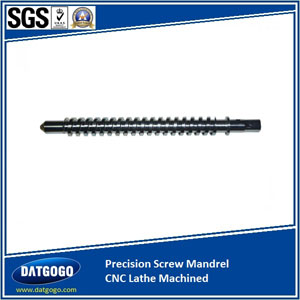 Precision Screw Mandrel CNC Lathe Machined