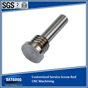Customized Service Screw Rod CNC Machining