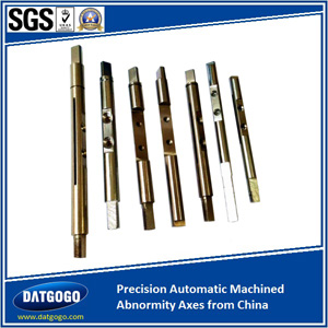 Precision Automatic Machined Abnormity Axes from China
