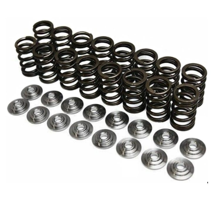 Valve Spring