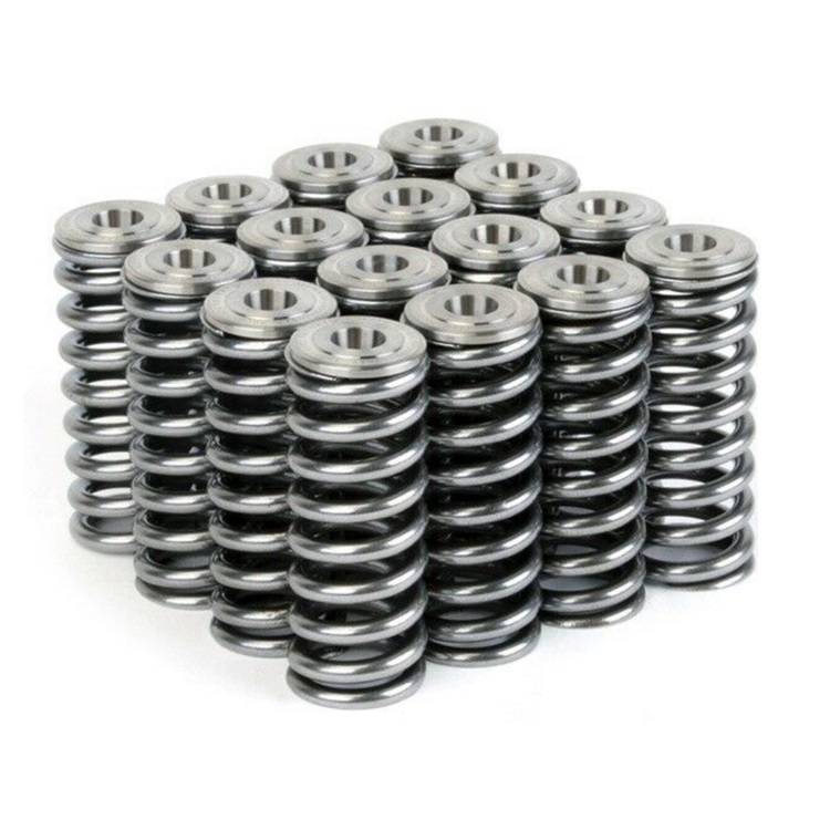 Valve Spring