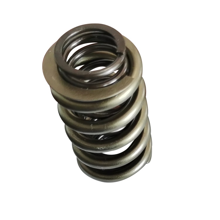 Valve Spring