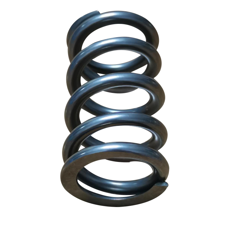 Valve Spring