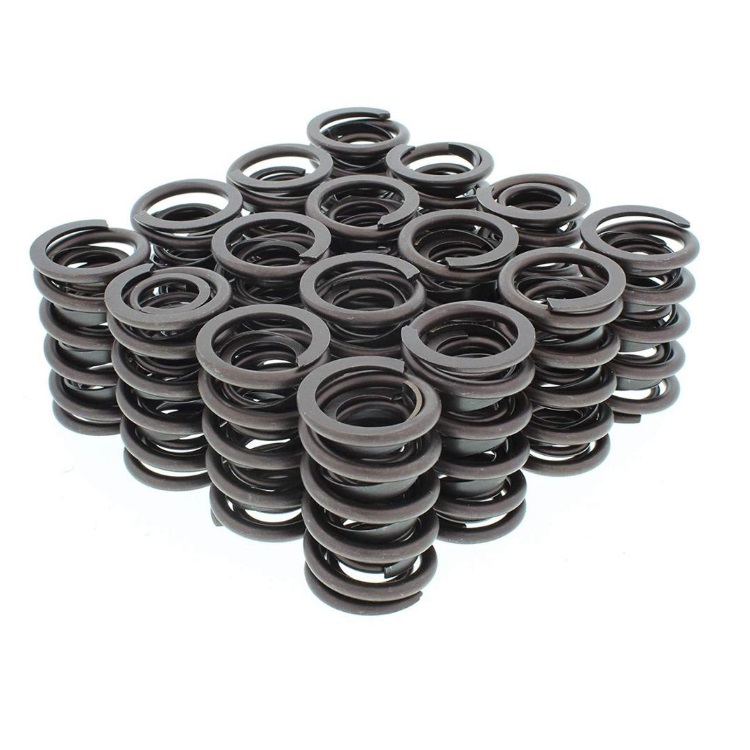 Valve Spring