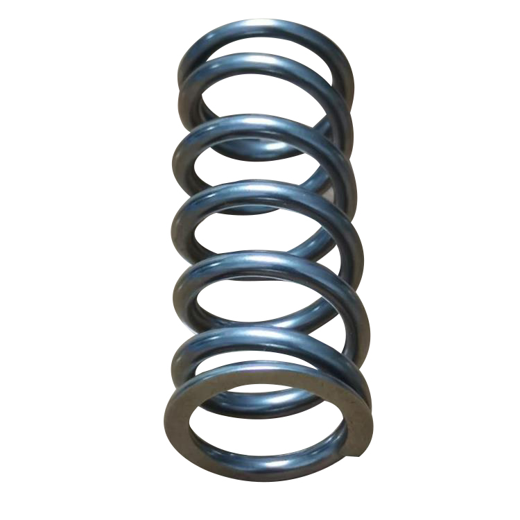 Valve Spring