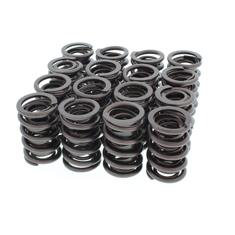 Valve Spring