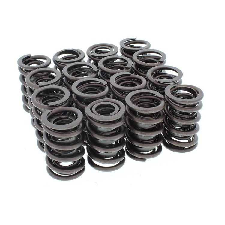 Valve Spring